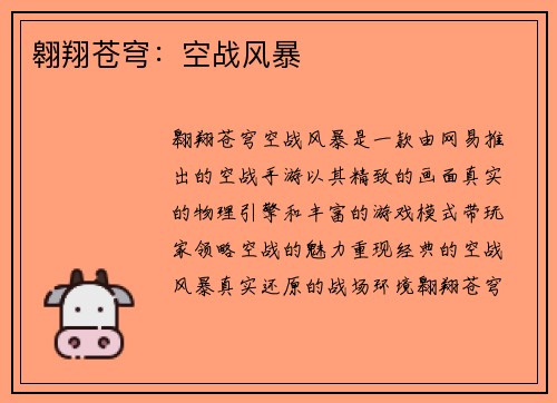翱翔苍穹：空战风暴
